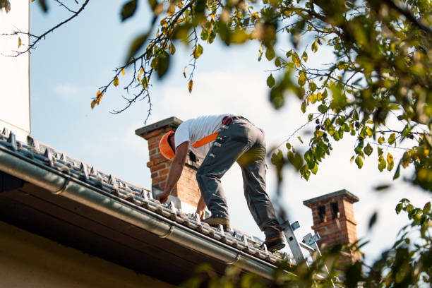 Best Roof Maintenance Services  in Cottonwood Shores, TX